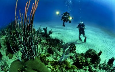 Seaseeker, las gafas de buceo con camara integrada