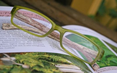 Gafas premontadas